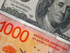 Quiénes son los que quieren elegir libremente entre pesos y dólares: un 35% define
