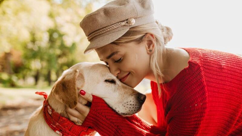 <div class="migrated-promo-image__description"><div class="migrated-promo-image__source">Fuente: Freepik</div></div>