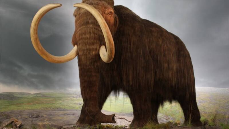 <div class="migrated-promo-image__description"><div class="migrated-promo-image__source">Fuente: Archivo</div></div>