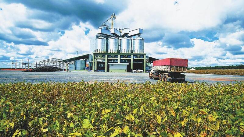 La compañía fue fundada en marzo de 1996 y busca nuevos mercados