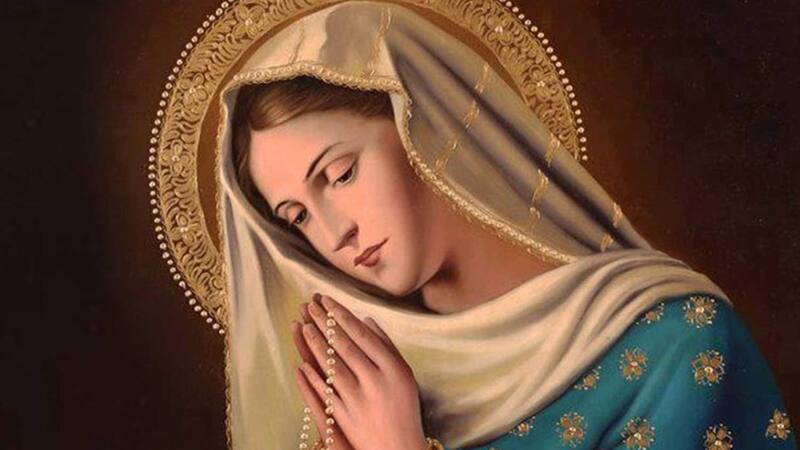 <div class="migrated-promo-image__description"><div class="migrated-promo-image__source">Fuente: Madre Clelia</div></div>