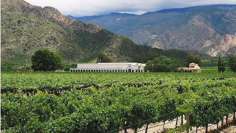 La operación incluye 150 hectáreas entre San Juan y Mendoza