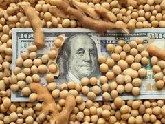 Restricción externa: sólo un tercio de los sectores de la economía es oferente de dólares