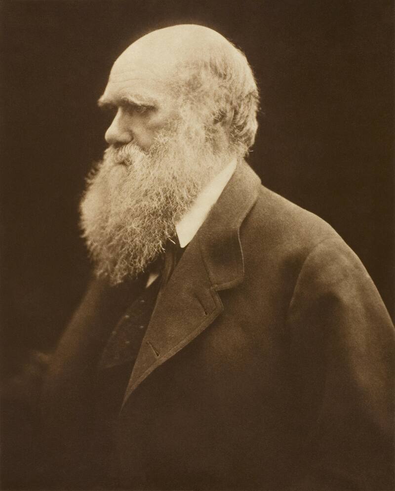Down House no solo es un hogar histórico, sino también un laboratorio al aire libre donde Darwin desarrolló sus ideas sobre la evolución. (Foto: Wikimedia Commons- Julia Margaret Cameron)