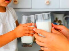 Industria láctea: estas son las empresas que procesan más leche en Argentina