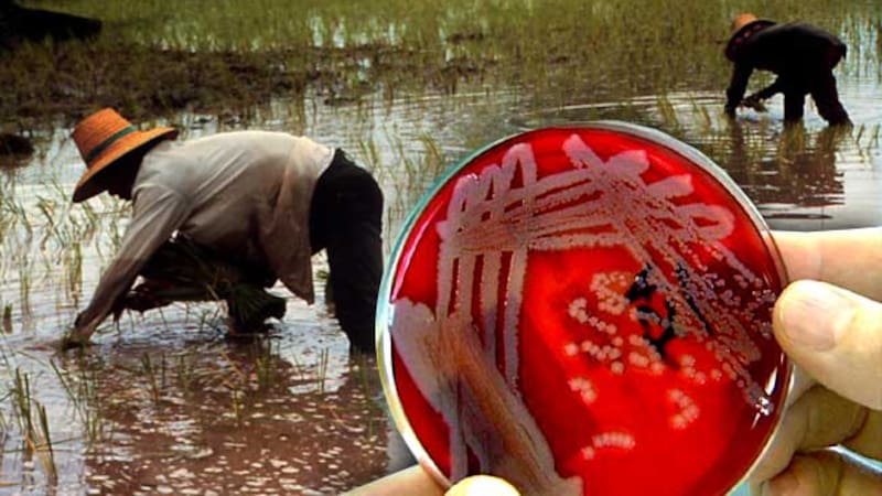 <div class="migrated-promo-image__description"><div class="migrated-promo-image__source">Fuente: Archivo</div></div>