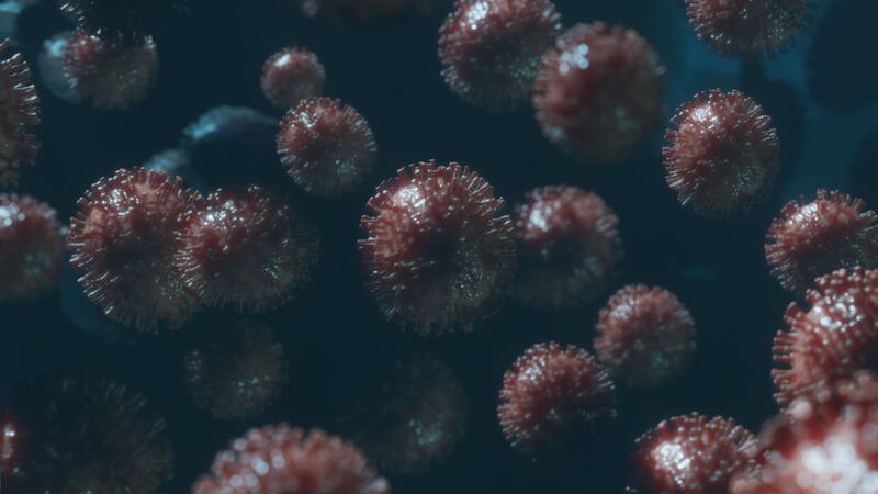 Barcelona en alerta: detección de poliovirus en aguas residuales. Fuente: Shutterstock.