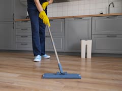 El nuevo producto estrella de Mercadona: tus suelos relucientes y sin plagas por menos de 3 euros