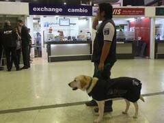 La Afip jubila mañana a 16 perros de la Aduana