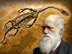 Charles Darwin tenía razón: hallan un inédito fósil de dinosaurio que confirma una de sus teorías más impactantes