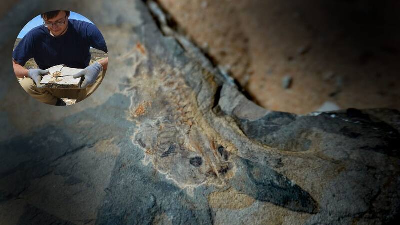 <div class="migrated-promo-image__description"><div class="migrated-promo-image__source">Fuente: CONICET</div></div>