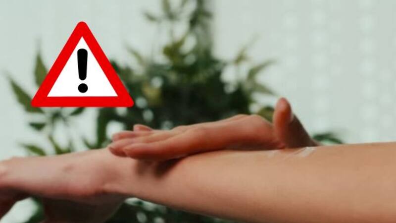 <div class="migrated-promo-image__description"><div class="migrated-promo-image__source">Fuente: Edición propia</div></div>