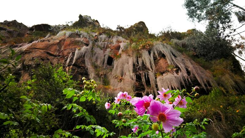 <div class="migrated-promo-image__description"><div class="migrated-promo-image__source">Fuente: Shutterstock 1724235304</div><div class="migrated-promo-image__author">Shutterstock 1724235304</div></div>