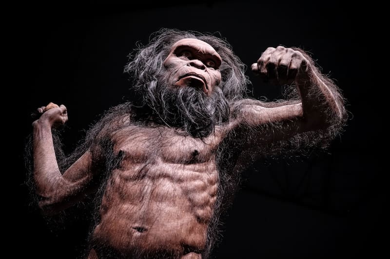 La diferencia de genes entre neandertales y los primeros humanos podrían haber causado modificaciones insostenibles (Fuente: archivo).