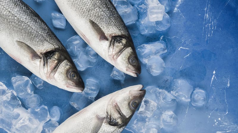 ¿Cuánto tiempo puede realmente conservarse los alimentos en el freezer?