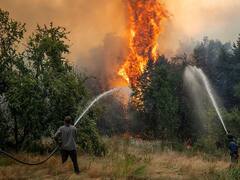 Radiografía de los incendios en la Argentina: miles de hectáreas arrasadas y una estrategia oficial cuestionada