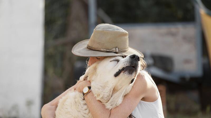 La elección de la raza de perro influye en nuestra experiencia como dueños.