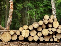 Boom industrial sustentable en una provincia argentina