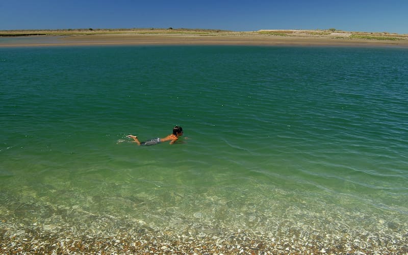 Punta Perdices se ubica a unos 65 kilómetros de Las Grutas, al este de la provincia de Río Negro,