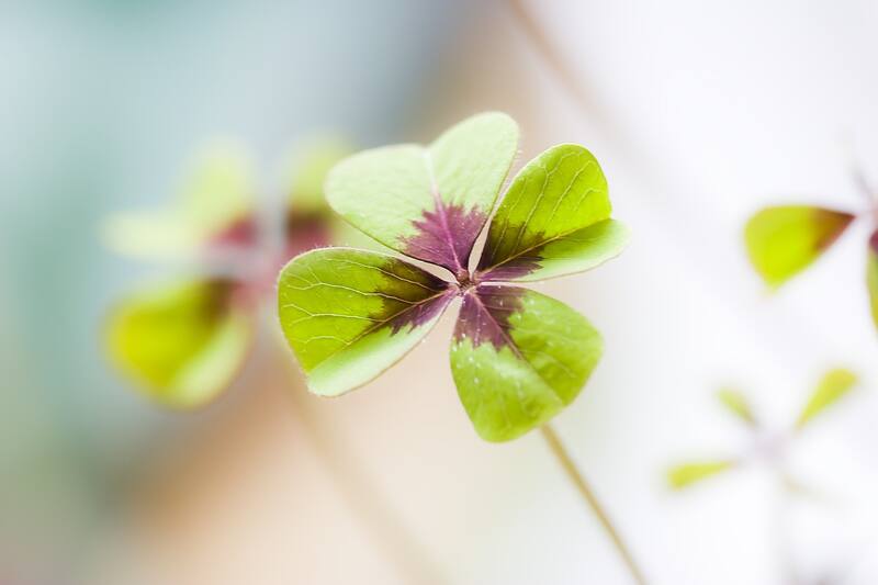 Las cifras ganadoras del Euromillones (foto: Pixabay).