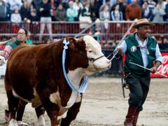 Qué hacer en vacaciones de invierno: las mejores actividades que ofrece La Rural para salir con los chicos