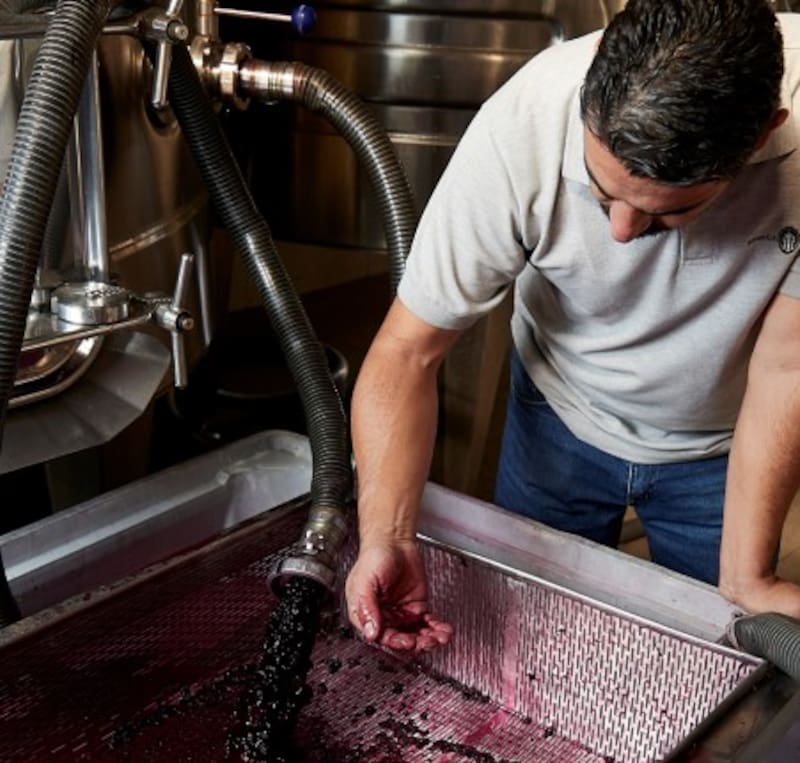 El vino de Leandro Paredes fue elaborado por Bodega Barberis, que produce 1,2 millones de litros anuales.