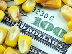 A lo Moreno, el Gobierno habilitó un cupo para la exportación de maíz: qué empresas se anotaron