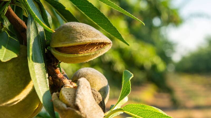 <div class="migrated-promo-image__description"><div class="migrated-promo-image__source">Fuente: Shutterstock</div></div>