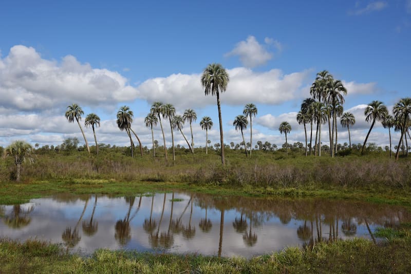 El Palmar, Entre Ríos