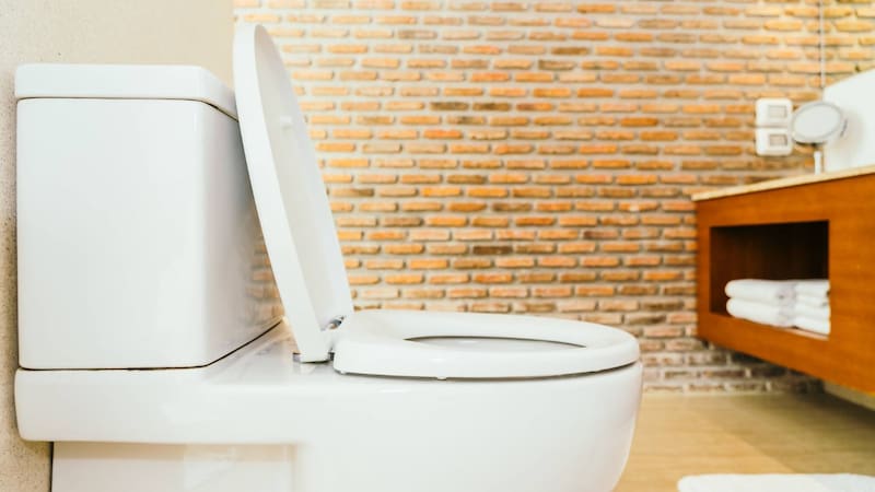 Con este método poco conocido vas a tener tu inodoro libre de bacterias.