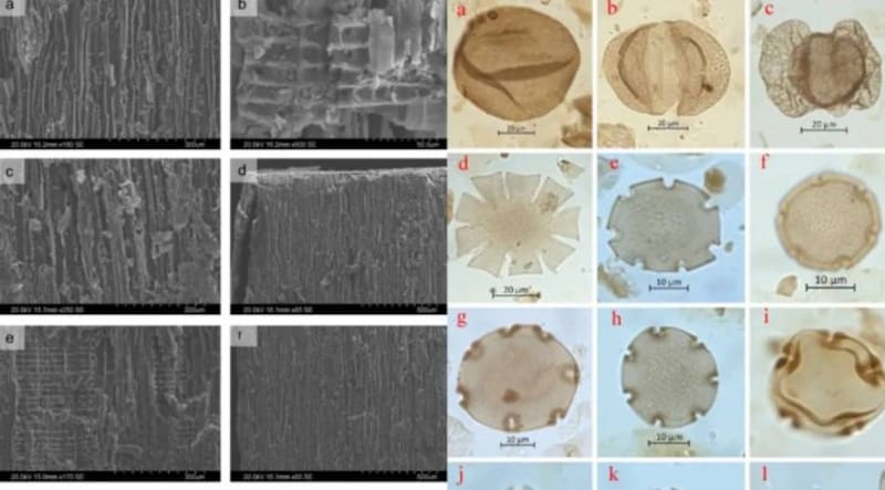 El hallazgo que podría transformar la historia de las Islas Malvinas.