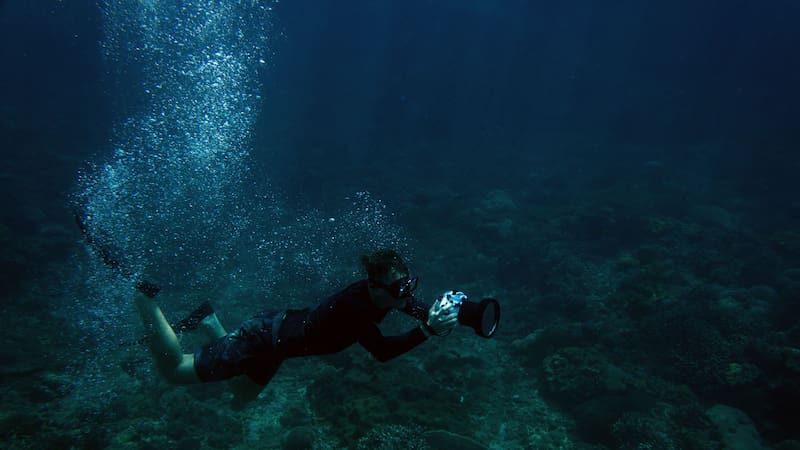 El celacanto, conocido como "fósil viviente," ha existido durante más de 400 millones de años, lo que lo convierte en uno de los seres vivos más antiguos del planeta.