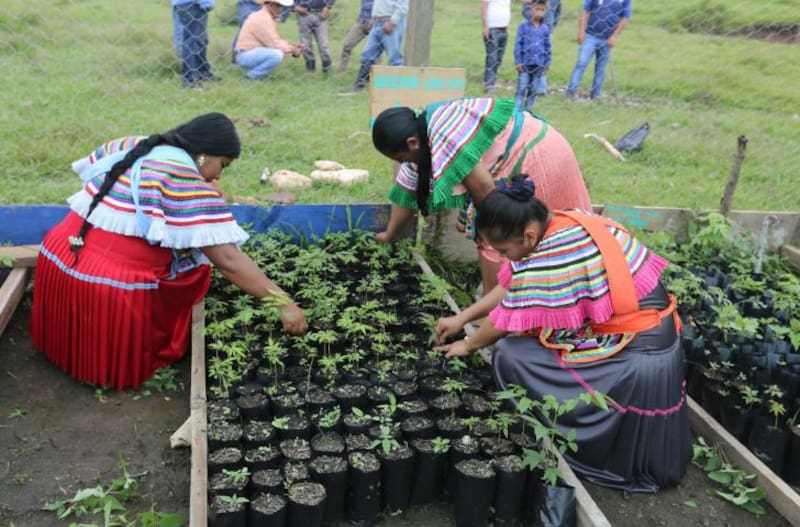 Oficial para mexicanos | Transferirán de por vida 6,450 pesos a todos los que reúnan estos 4 requisitos (foto: archivo).