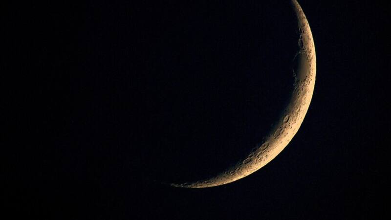 <div class="migrated-promo-image__description"><div class="migrated-promo-image__source">Fuente: Freepik</div></div>