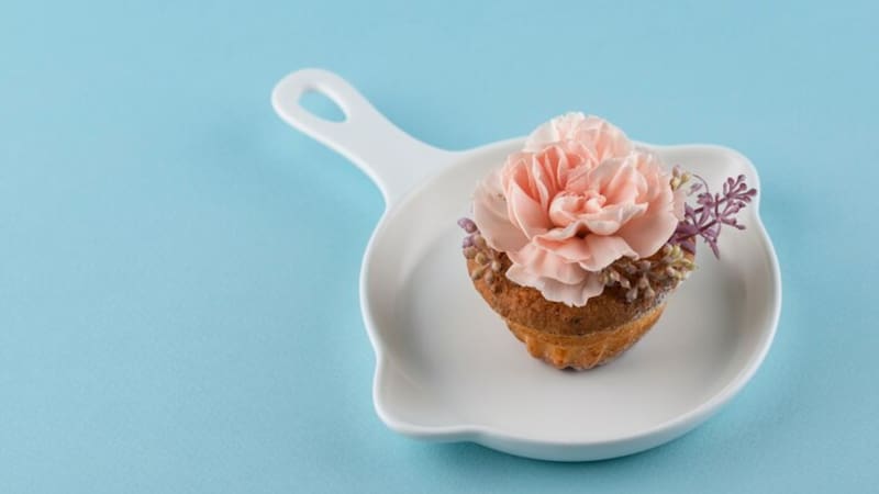 <div class="migrated-promo-image__description"><div class="migrated-promo-image__source">Fuente: Freepik</div></div>