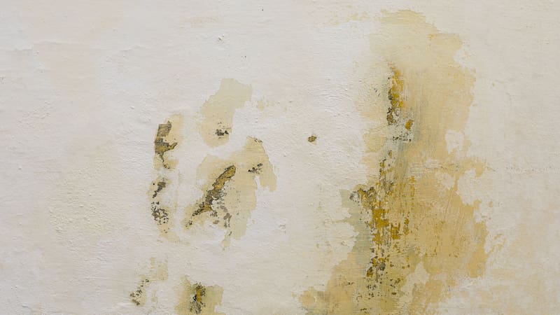 <div class="migrated-promo-image__description"><div class="migrated-promo-image__source">Fuente: freepik</div></div>