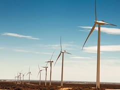 YPF avanza con su primer parque eólico de u$s 200 millones en Chubut