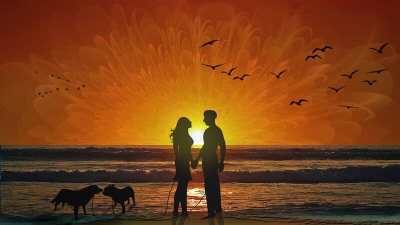 Descubrí cuáles son los 3 signos más encantadores según el Horóscopo Chino.