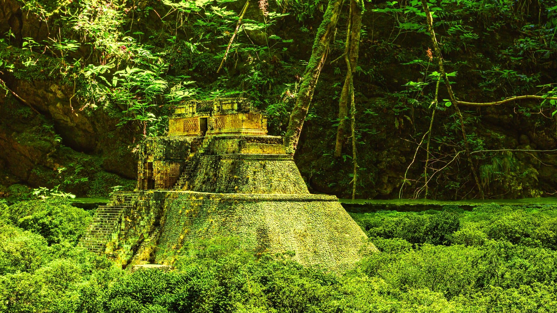 Descubrimiento de 1200 años: hallan una ciudad maya perdida en la selva  mexicana - El Cronista