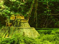 Descubrimiento de 1200 años: hallan una ciudad maya perdida en la selva mexicana