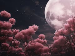 Luna llena de las Flores: por qué el plenilunio del 23 de mayo es una fecha clave para el Budismo