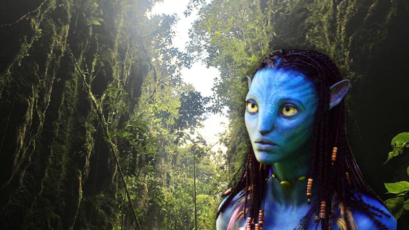 En Santander se esconden bosques que nada tienen que envidiarle a los de Pandora en la película Avatar.