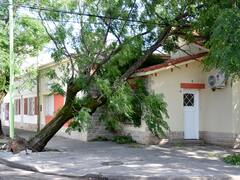 Temporal en Buenos Aires: hay casi dos meses de espera para reparar techos y ventanas