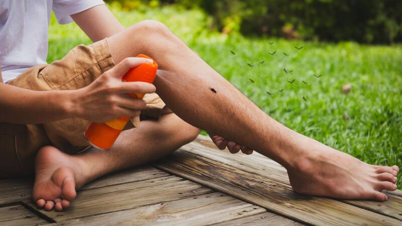 <div class="migrated-promo-image__description"><div class="migrated-promo-image__source">Fuente: Canva</div></div>