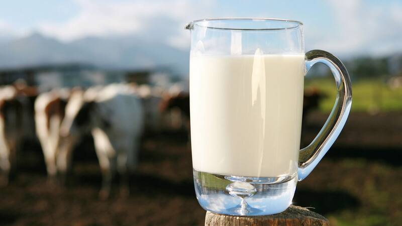 Cuáles son los beneficios de la leche para tu salud. Fuente: archivo.