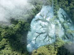 Científicos aseguran una nueva crisis mundial: el momento en que la Tierra se quedará sin oxígeno y cambiará todo