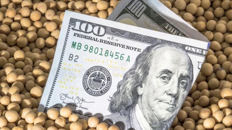 <div class="migrated-promo-image__description"><div class="migrated-promo-image__source">Fuente: dreamstime.com</div><div class="migrated-promo-image__author">El Cronista</div></div>