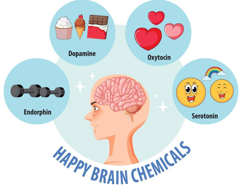 La dopamina cumple un rol esencial dentro del sistema de recompensa. Fuente: FreePik.