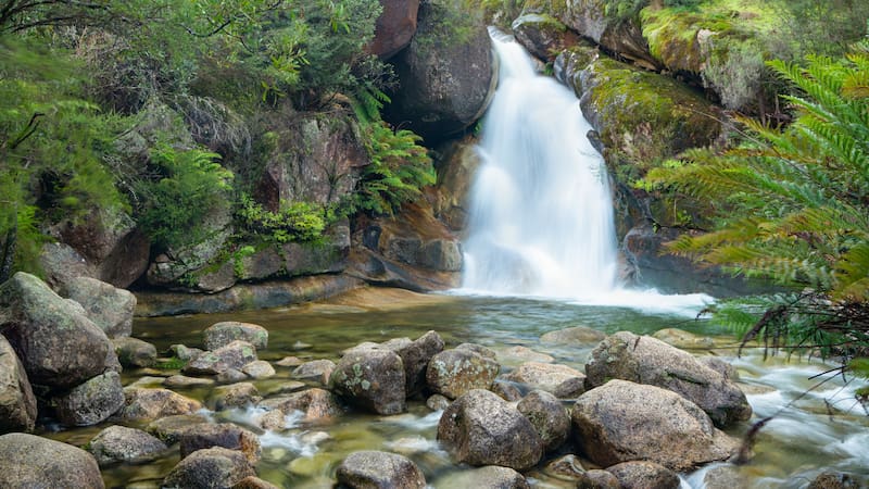 <div class="migrated-promo-image__description"><div class="migrated-promo-image__source">Fuente: Freepik.es</div></div>