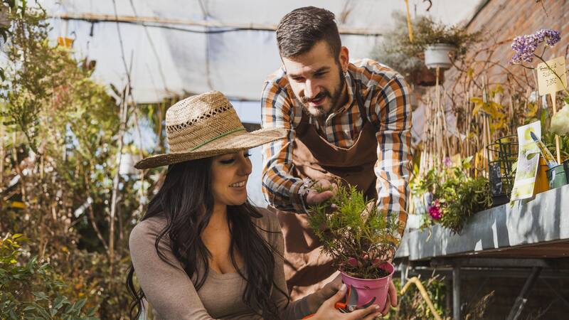 Evitar las puntas marrones en tus plantas es posible.